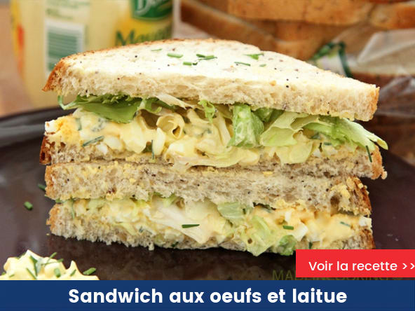 Sandwich aux oeufs et laitue